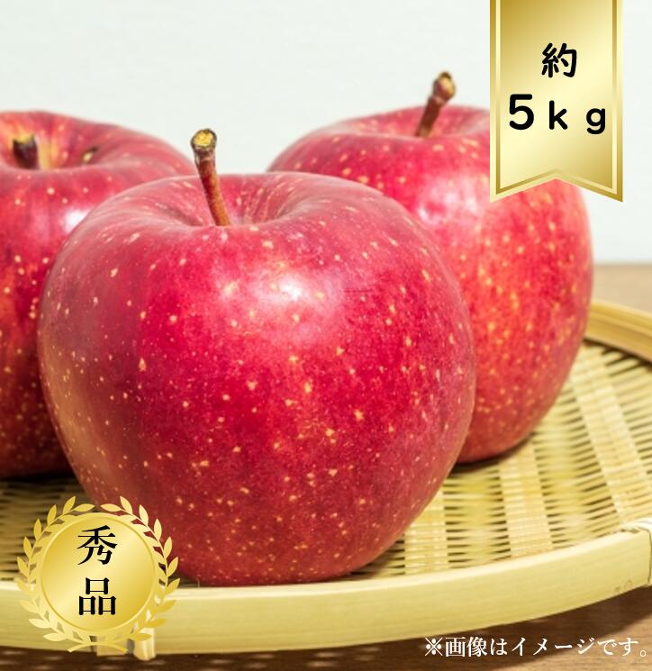 りんご 【送料無料】サンふじりんごサイズおまかせ約5kg 秀品R6年度先行予約商品