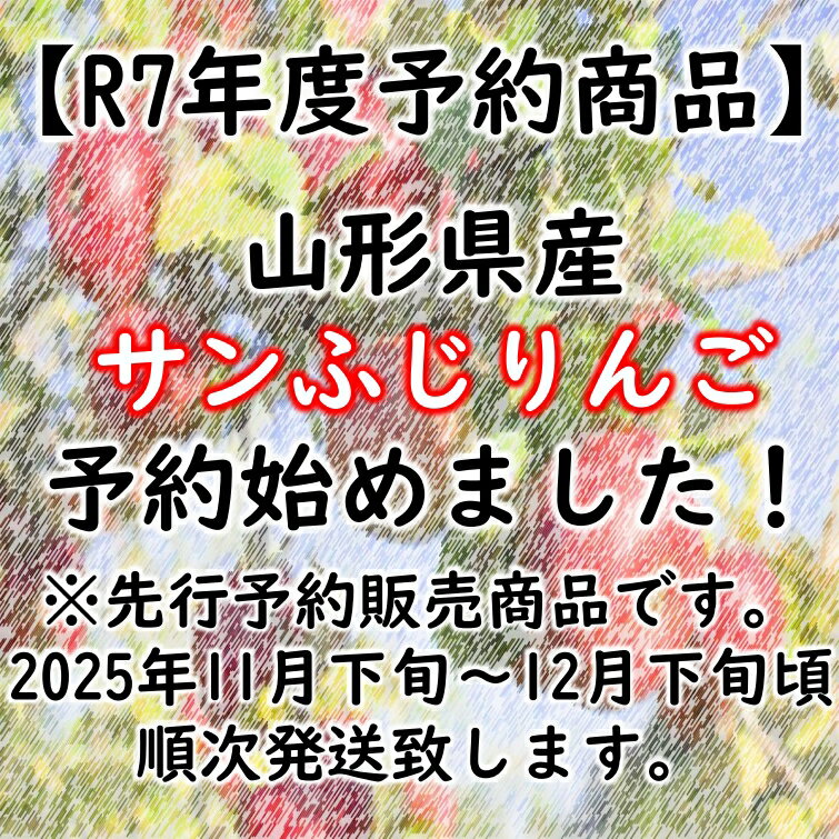 【送料無料】サンふじりんごサイズおまかせ約5kg B品 訳ありR7年度先行予約商品