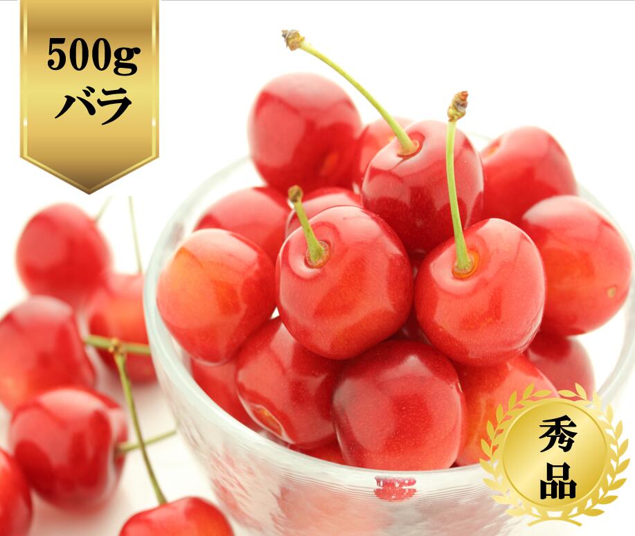 【送料無料】山形県産　紅秀峰 さくらんぼ 500gバラ 秀品R6年度先行予約商品