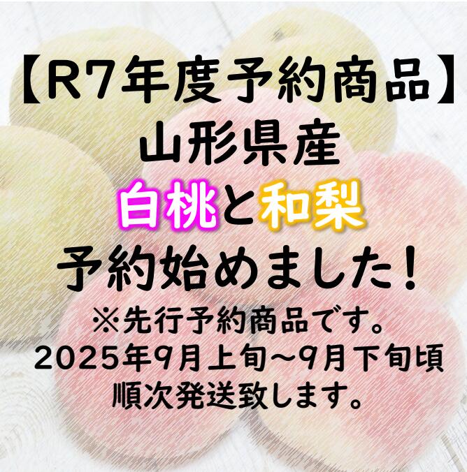 【送料無料】白桃と和梨食べ比べ 約2kg 秀品R7年度先行予約商品