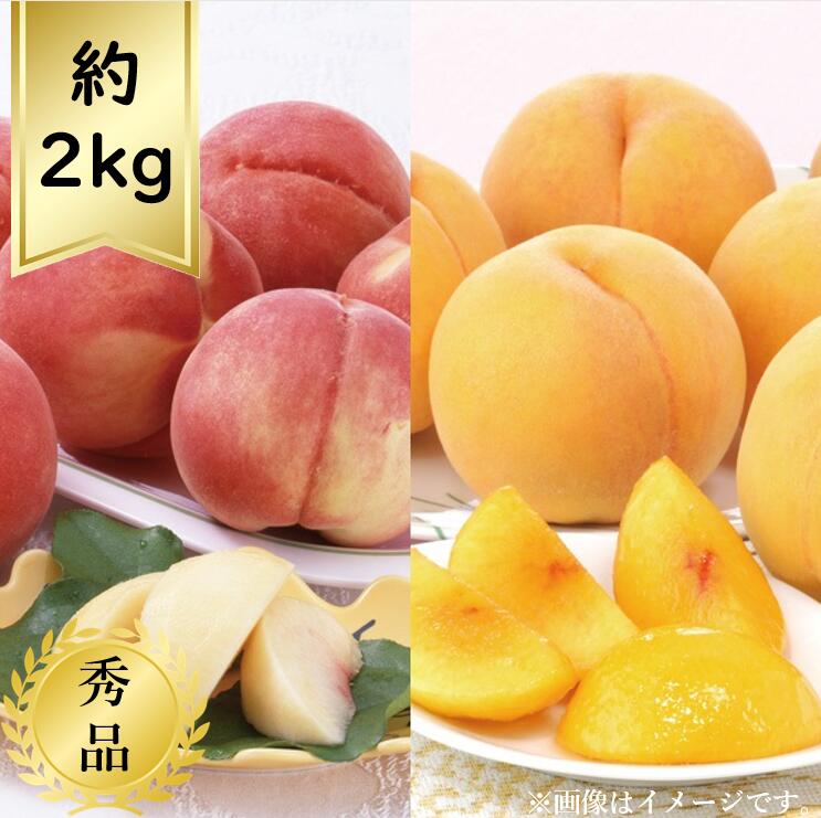 【送料無料】黄桃と白桃食べ比べ 約2kg 秀品R6年度先行予約商品