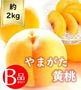 【送料無料】黄桃約2kg 訳あり B品R5年度先行予約商品