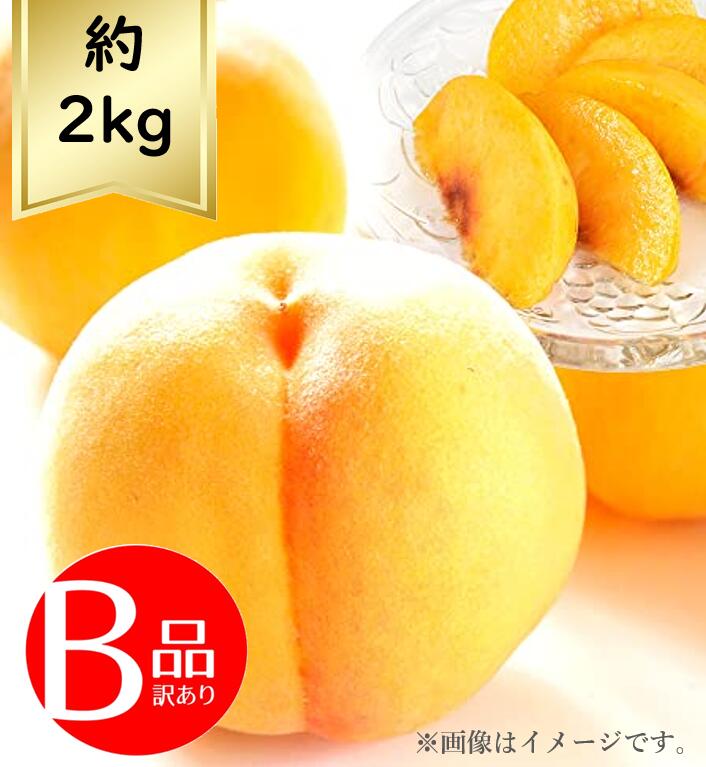 【送料無料】黄桃約2kg 訳あり B品R6年度先行予約商品