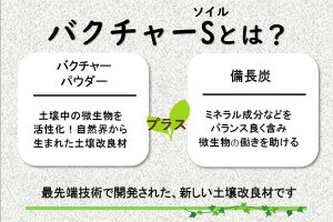 炭バク説明01