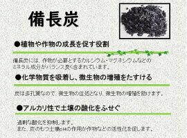 炭バク03