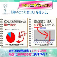 ニオワン汲み取りトイレ消臭液(1〜2ヶ月用)