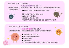腸内フローラ02