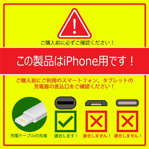 【5本セット】 iPhone ケーブル データ伝送ケーブル 3m+2m+1m+0.5m+0.25m 急速充電 充電器 USBケーブル iPad iPhone用充電ケーブル Phone14 iPhone13 iPhone12 iPhone11 iPhone XS Max iPhone XR iPhone 8/7 iPad mini Air 超高耐久 断線しにくい ゆうパケット 送料無料