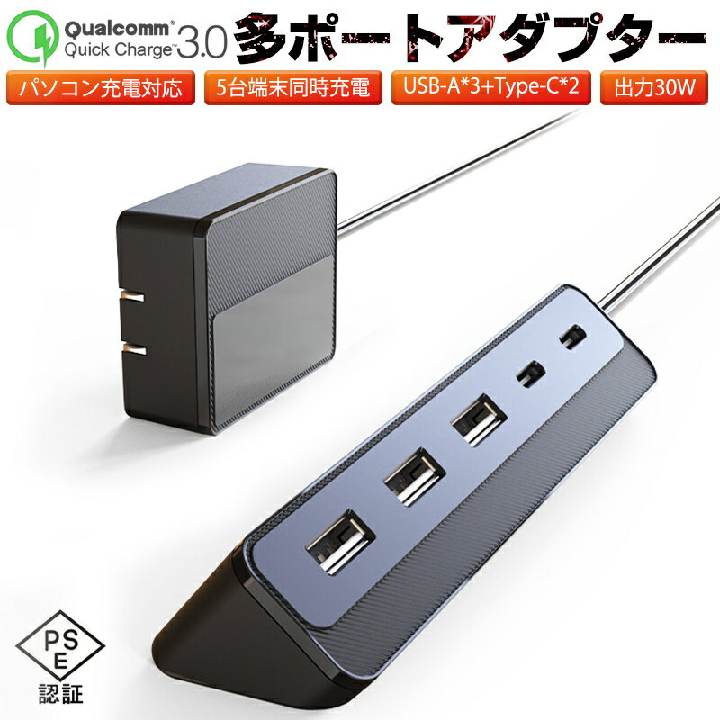 USBアダプター USBステーション ACアダプター 電源タ