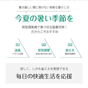 サーキュレーターファン サーキュレーター 扇風機 多機能ファン DCモーター 静音 省エネ 3枚羽根 リモコン 上下左右 首振り 3段階風量調節 3D送風 リビング おしゃれ 一台多役 切タイマー 節電 換気