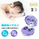 【昼夜兼用イヤホン】 寝ホン 2025年 最新型 睡眠用イヤホン ワイヤレス Bluetooth5.4 寝ながらイヤホン 軽量 超小型 カナル型 左右分離型 遮...