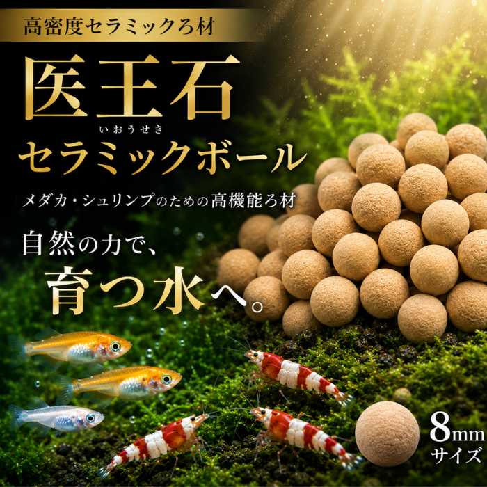 楽天市場】医 王石の通販