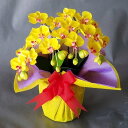 胡蝶蘭SS/黄/2F(造花)高さ32cm×巾25cm造花・光触媒 お祝い お誕生日 母の日 プレゼント ギフト 立札無料 引っ越し祝い 祝 立札無料