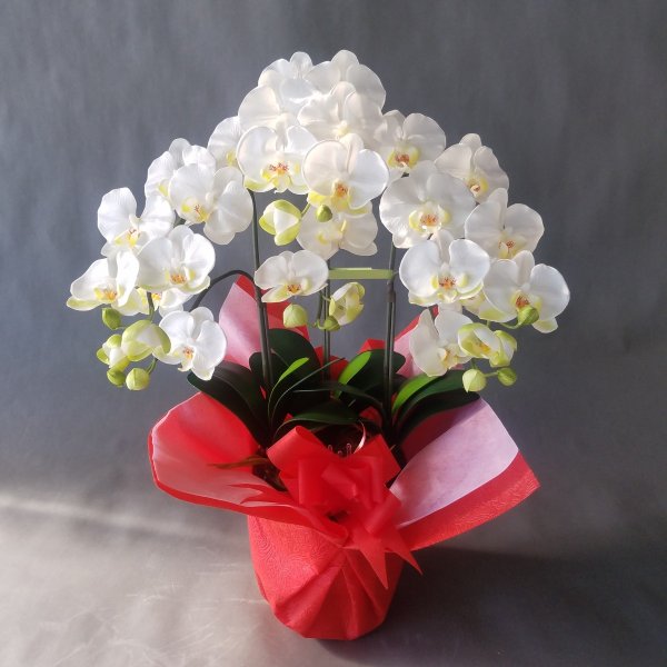 胡蝶蘭M/白黄/3F(造花）高さ70cm×巾40cm造花・光触媒　アートフラワー　アーティフィシャルフラワー　フェイク　お誕生日　開店祝い　開院　開業　就任　お祝い　祝　立札無料　ラッピング無料