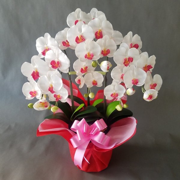 胡蝶蘭M/白赤/3F(造花）高さ70cm×巾40cm造花・光触媒　アートフラワー　アーティフィシャルフラワー　フェイク　お誕生日　母の日　敬老の日　開店祝い　開院　開業　お祝い　祝　ラッピング無料