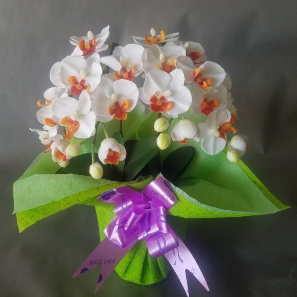 胡蝶蘭SS/白オレンジ/2F(造花)高さ32cm×巾25cm造花・光触媒　アートフラワー　アーティフィシャル フラワー　お祝い　お誕生日 母の日　花　フラワー　ギフト　プレゼント