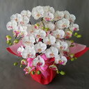 胡蝶蘭S-白 5F高さ50cm×巾40cm造花 光触媒