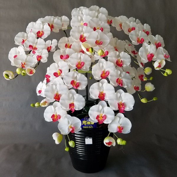 胡蝶蘭L-赤白 5F高さ95cm×巾60cm造花・光触媒　アーティフィシャルフラワー　アートフラワー　お誕生日..