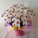胡蝶蘭M/白赤/7F(造花)高さ75cm×巾40cm造花・光触媒 アーティフィシャルフラワー アートフラワー フェイク お誕生日 開店祝い 開業 開院 就任 引...