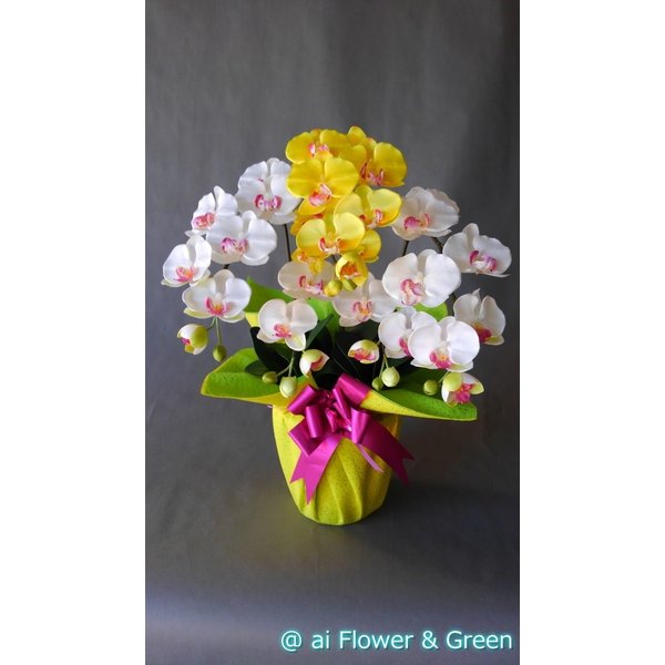 胡蝶蘭M-白＆黄 3F高さ75cm×巾40cm造花・光触媒