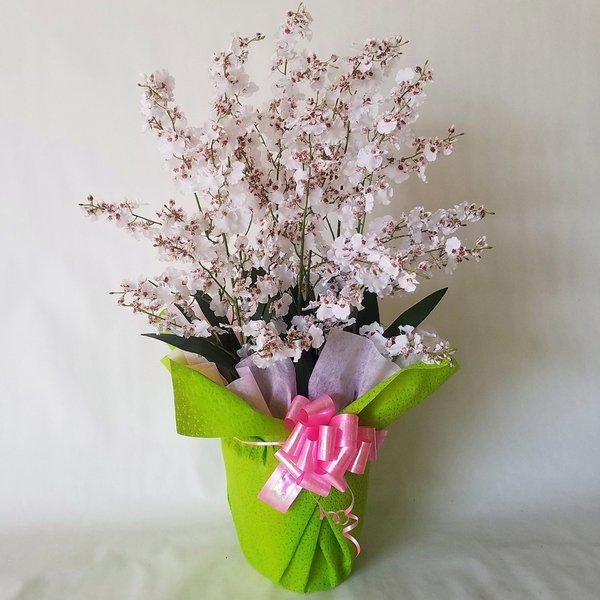 乐天商城 - 造花アーティフィシャルオンシジューム ピンク　　10本立高さ90cm×巾60cm造花・光触媒