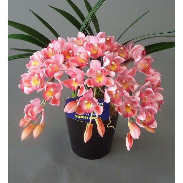 造花アーティフィシャルシンビジューム-ピンク3本立　高さ35cm×巾25cm造花・光触媒 3