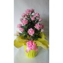 造花アーティフィシャルバラ（大輪）-2株立　ピンク高さ75cm×巾50cm造花・光触媒