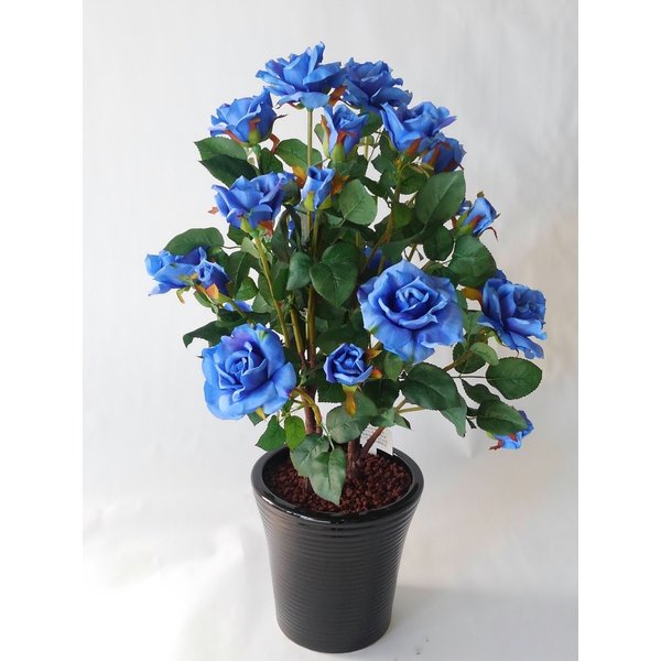 ¤�֥����ƥ��ե������Х�����ء�-�֥롼2��Ω���⤵85cm�߶�50cm¤�֡�������