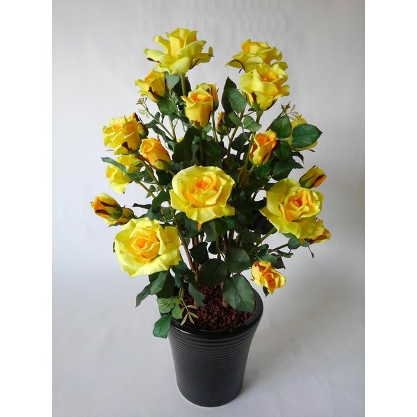 ¤�֥����ƥ��ե������Х�����ء�-��2��Ω���⤵85cm�߶�50cm¤�֡�������