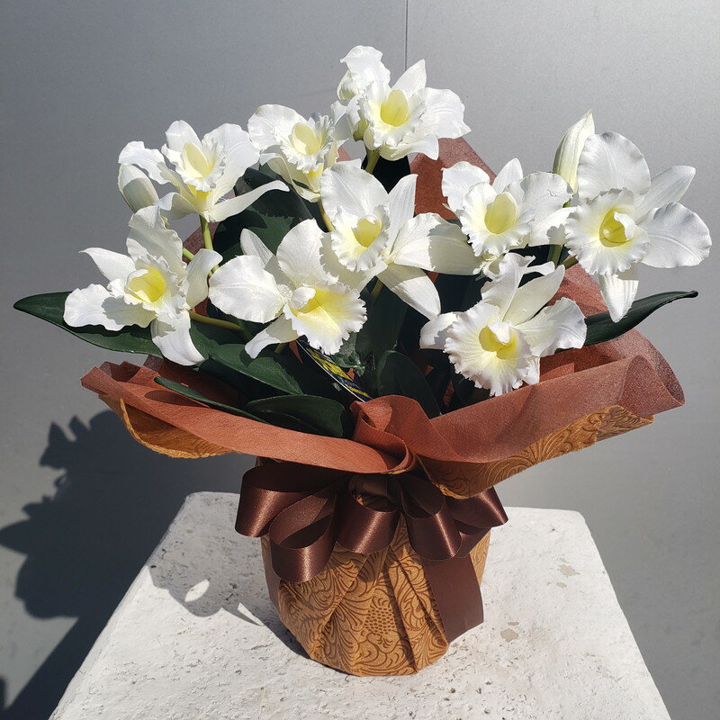 カトレアSS 白 3F（造花）高35×幅25 光触媒