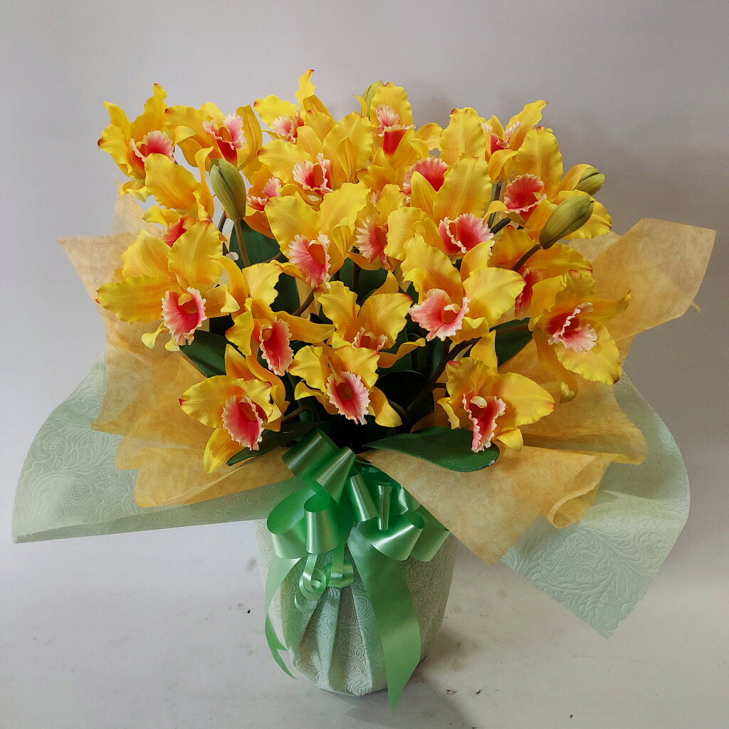 ���ȥ쥢�������ء�¤�֡�鲴�30�ء���55����40�������ޥ����ƥ���