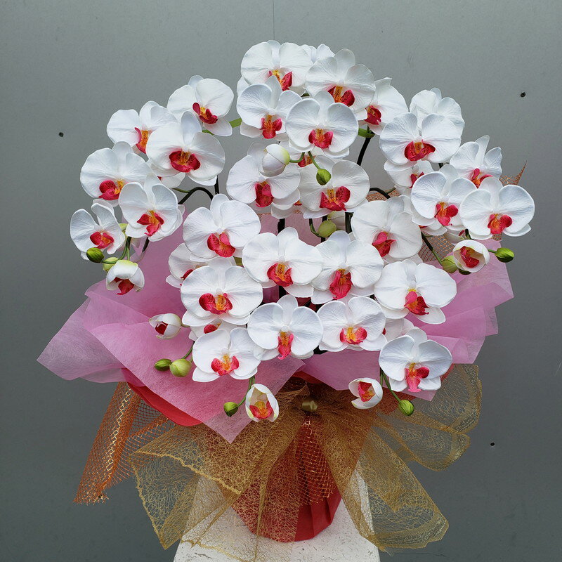 胡蝶蘭 白赤 S 5本立（造花）高50×幅40・光触媒