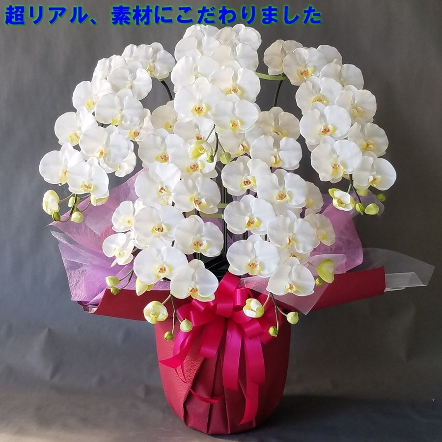 乐天商城 - 胡蝶蘭Lサイズ　5F　WY