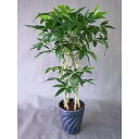 パキラ8本編みタワー(造花)(高85×幅55)【光触媒】お祝い ギフトプレゼント 贈答用 引っ越し祝い 開店祝い 開院祝い 光触媒 **鉢は予告なく在庫により黒の陶器になる場合が有ります。