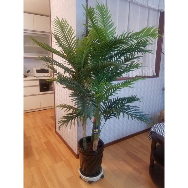 ���쥫�䥷��¤�֡ˡ������������������ʹ�160����100�ˡڸ����ޡ�