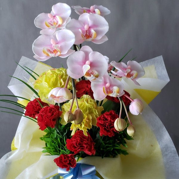 胡蝶蘭＆カーネーションAB3　造花（高40×幅25）【光触媒】お祝い　お誕生日　母の日　ギフト　プレゼント