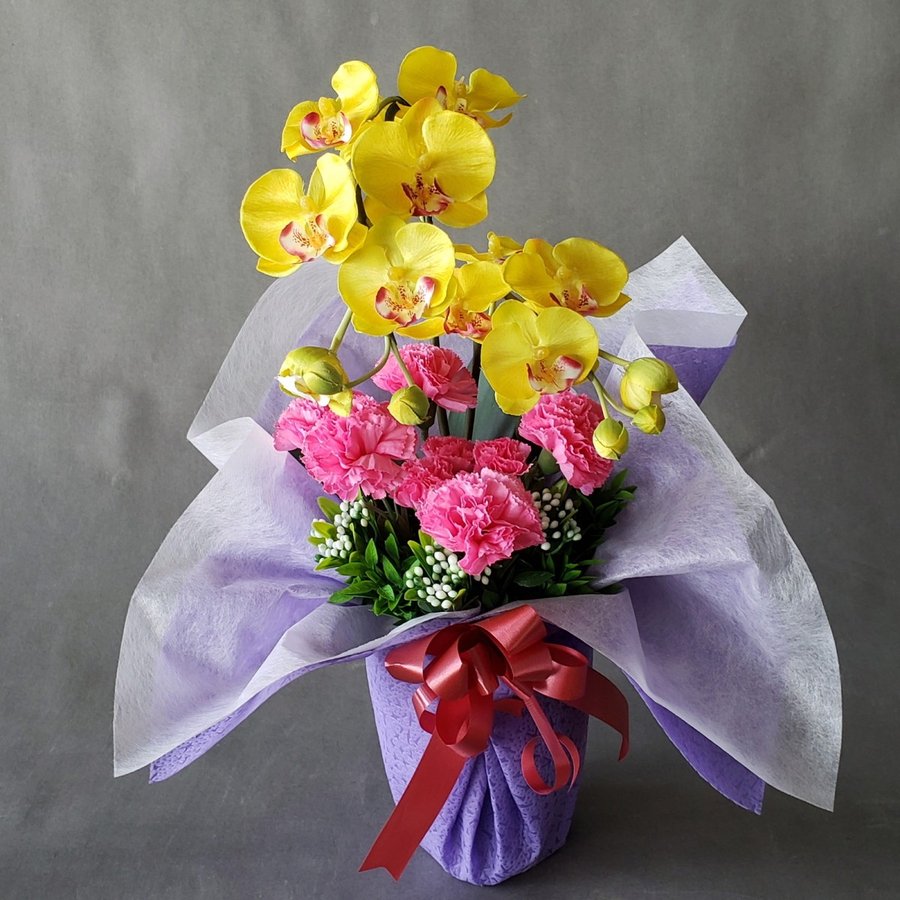 ��ĳ���������͡������¤��A2���������������ڹ�40����20��