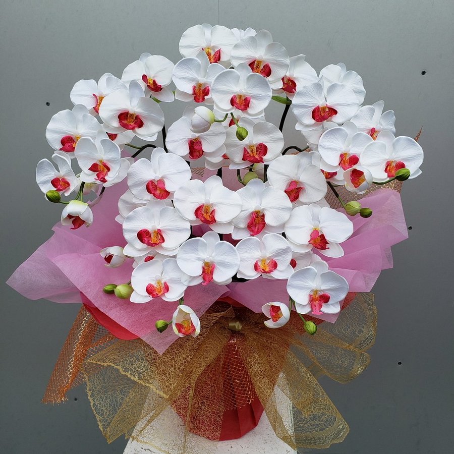胡蝶蘭M5F/白赤（造花）　　　　高70×幅40