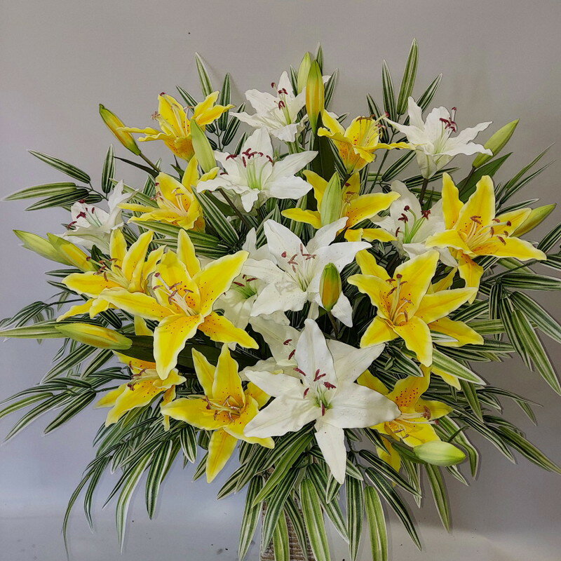 ���MIX����󥸡��򡦲��ˡ�鲴�36���աˡ�������