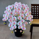 胡蝶蘭DXL-絞りピンク 5F高85cm×巾50cm造花・光触媒 アートフラワー アーティフィシャルフラワー お誕生日 お祝い 開店祝い 開業祝い 就任祝い ギ...
