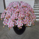 胡蝶蘭/L/絞りピンク・16F(造花)・高110×幅90 アーティフィシャル フラワー アートフラワー 光触媒 大型アレンジ お祝い 祝 贈答用 ギフト 受付 ...