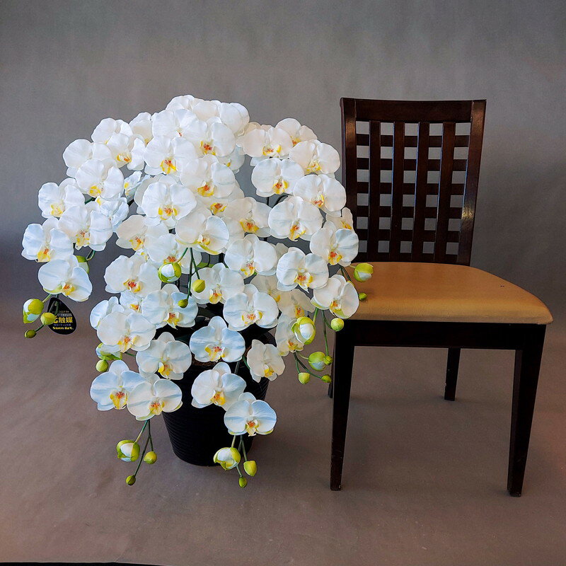 胡蝶蘭L/5F【白黄】【造花】約高80・幅50　光触媒　5本立　アーティフィシャルフラワー　アートフラワー　お誕生日　開店祝い　開院祝い　開業祝い　還暦　贈答用　フラワーインテリア　大型胡蝶蘭　　大型アレンジ　お祝い　ギフト　プレゼント　枯れない胡蝶蘭