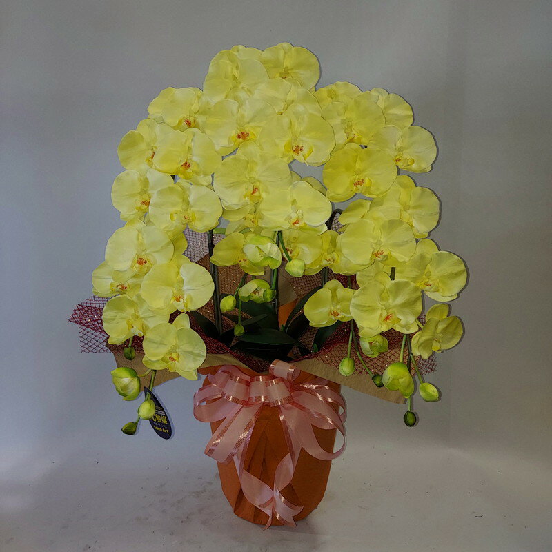 乐天商城 - 胡蝶蘭L/3F（造花）【フアンシーイエロー】新発売／新企画品/約高80・幅40　・光触媒　アートフラワー　アーティフィシャルフラワー　お誕生日　母の日　プレゼント　ギフト　立札無料　ラッピング無料　新色