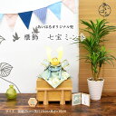 五月人形 コンパクト おしゃれ 兜 兜飾り モダン 小さな 木目 インテリア 間口25cm 5月人形 兜 8号 送料無料 端午の節句 オリジナル兜 【櫃飾七宝ミ...