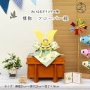 五月人形 コンパクト おしゃれ 兜飾り 兜 モダン 小さな 木目 インテリア 間口25cm 5月人形 兜 8号 送料無料 端午の節句 オリジナル兜 【櫃飾クローバー緑色】人形のあいはる 限定商品 陣羽織 オルゴール 布兜 豆鯉