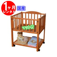 https://thumbnail.image.rakuten.co.jp/@0_mall/aiikusya/cabinet/1bn423.jpg