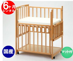 https://thumbnail.image.rakuten.co.jp/@0_mall/aiikusya/cabinet/ra11-2-2-b-6m/1bn129.jpg