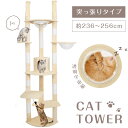 P5倍♪キャットタワー 突っ張り スリム 透明宇宙船 おしゃれ 猫タワー 多頭飼い 爪とぎ 麻紐 おしゃれ 大型猫 猫用品 安定性抜群 猫ハウス タワー 猫 ネコ 猫用 高さ調整236～256cm 運動不足 ストレス解消 cat-t255