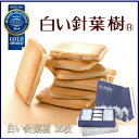 【モンドセレクション 金賞受賞】【送料無料】白い針葉樹 36...