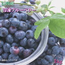 【信州産】冷凍ブルーベリー 1kg ブルーベリー 国産 冷凍 加工 保存用 ジャム ヨーグルト フルーツ 信州産 長野県産　【送料無料】